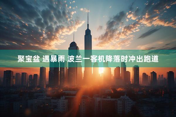 聚宝盆 遇暴雨 波兰一客机降落时冲出跑道