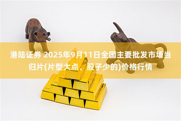 港陆证券 2025年9月11日全国主要批发市场当归片(片型大点、股子少的)价格行情