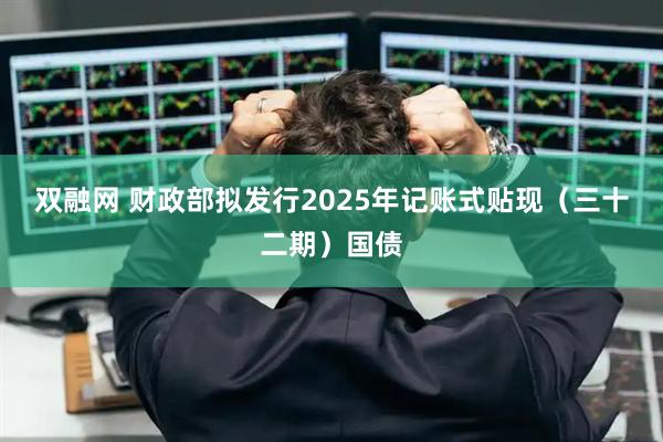 双融网 财政部拟发行2025年记账式贴现（三十二期）国债