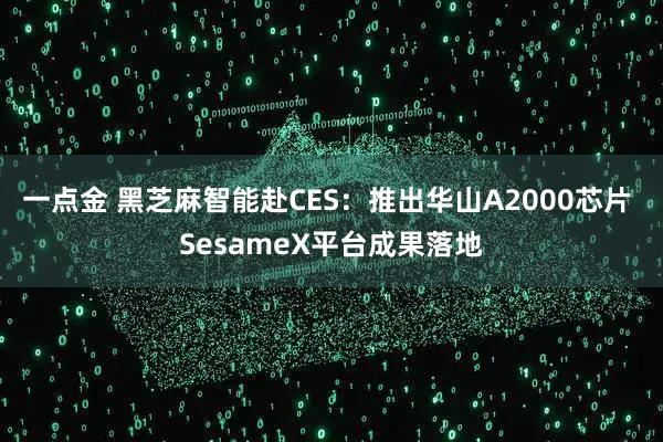 一点金 黑芝麻智能赴CES：推出华山A2000芯片 SesameX平台成果落地