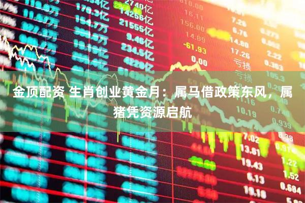 金顶配资 生肖创业黄金月：属马借政策东风，属猪凭资源启航