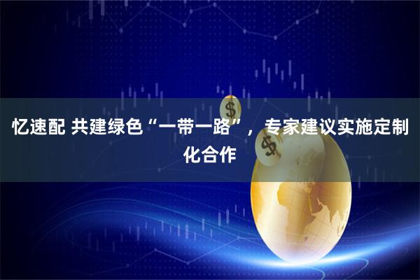 忆速配 共建绿色“一带一路”，专家建议实施定制化合作