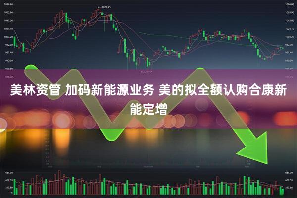 美林资管 加码新能源业务 美的拟全额认购合康新能定增